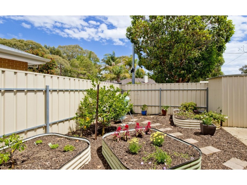 1A Salrak Avenue, Marion SA 5043