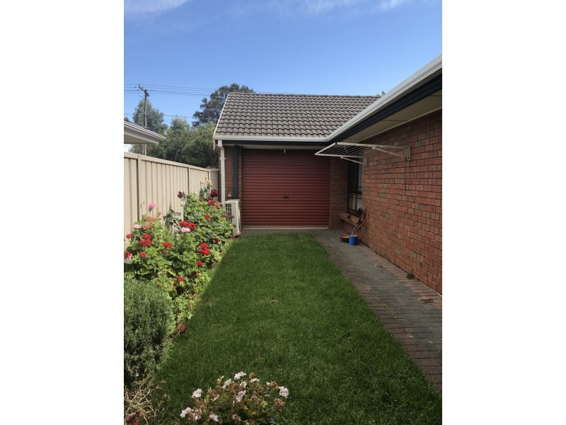 43A DUNROBIN ROAD, Hove SA 5048