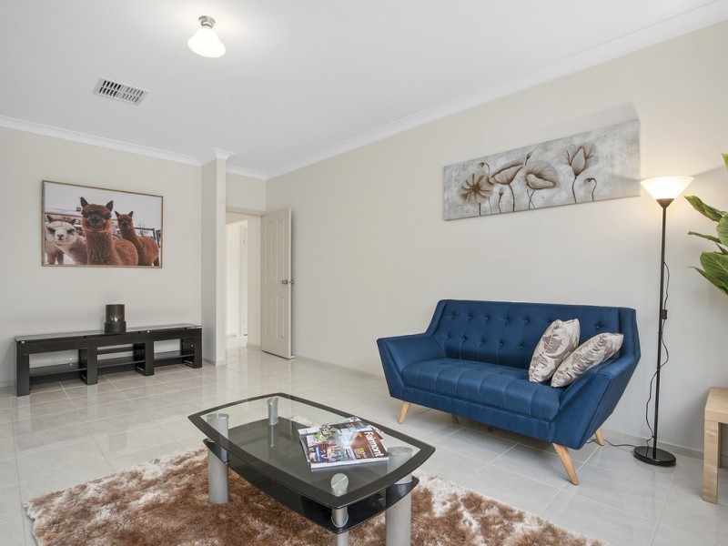 38 Rockville Avenue, Daw Park SA 5041