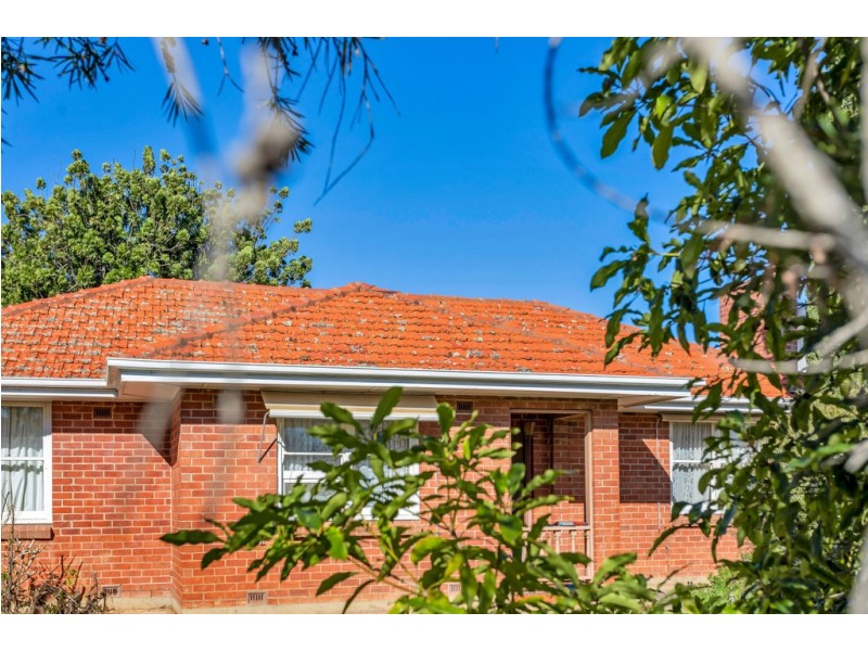 24 Ranelagh Street, Glengowrie SA 5044