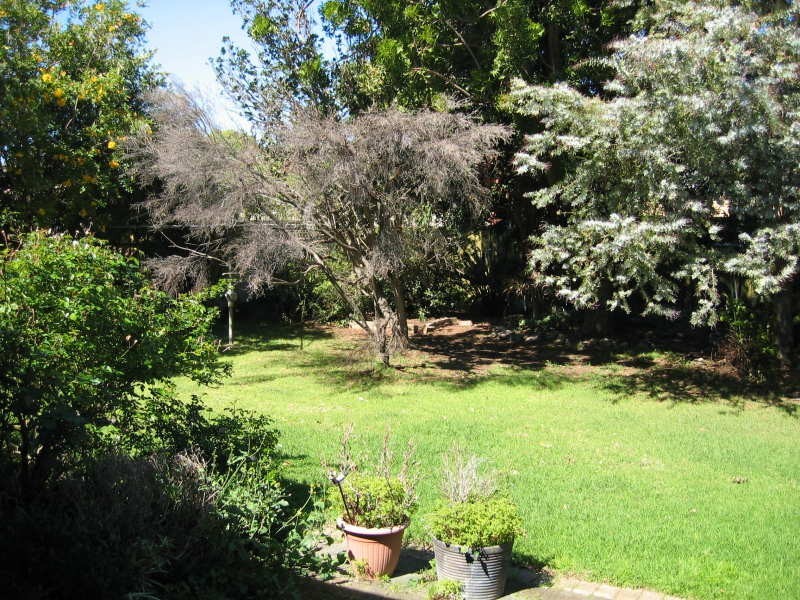 24 Ranelagh Street, Glengowrie SA 5044