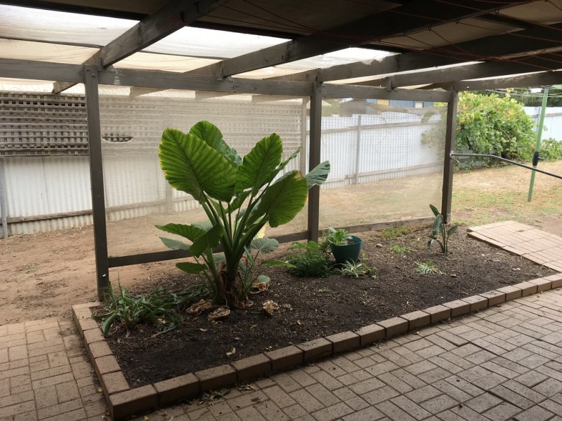 7 Deemster Avenue, Christies Beach SA 5165