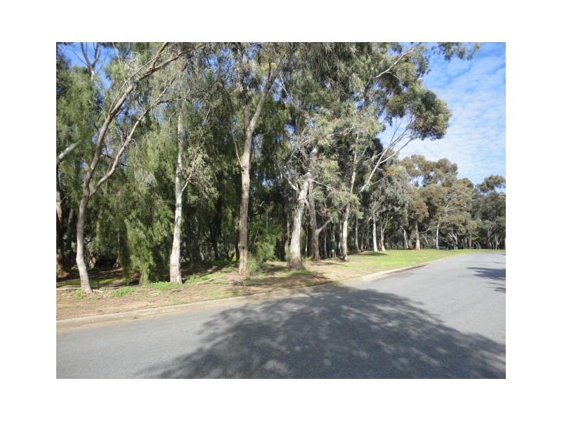 12 Belgrave Avenue, Flinders Park SA 5025