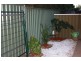 1/2 Tennyson Street, Kurralta Park SA 5037