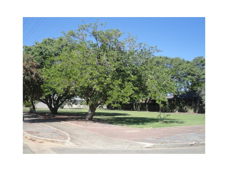 7 Winton Avenue, Warradale SA 5046