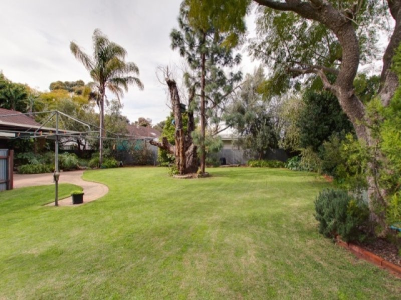 21 Malcolm Avenue, Marion SA 5043