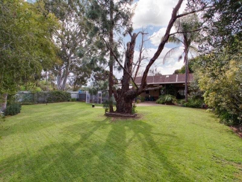 21 Malcolm Avenue, Marion SA 5043