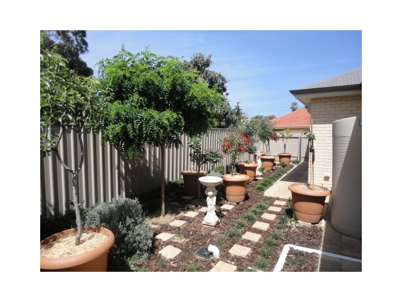26B Lucas Street, Richmond SA 5033