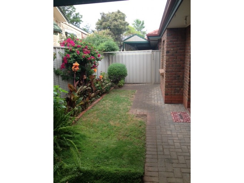 1/31 Edwards Street, Brighton SA 5048