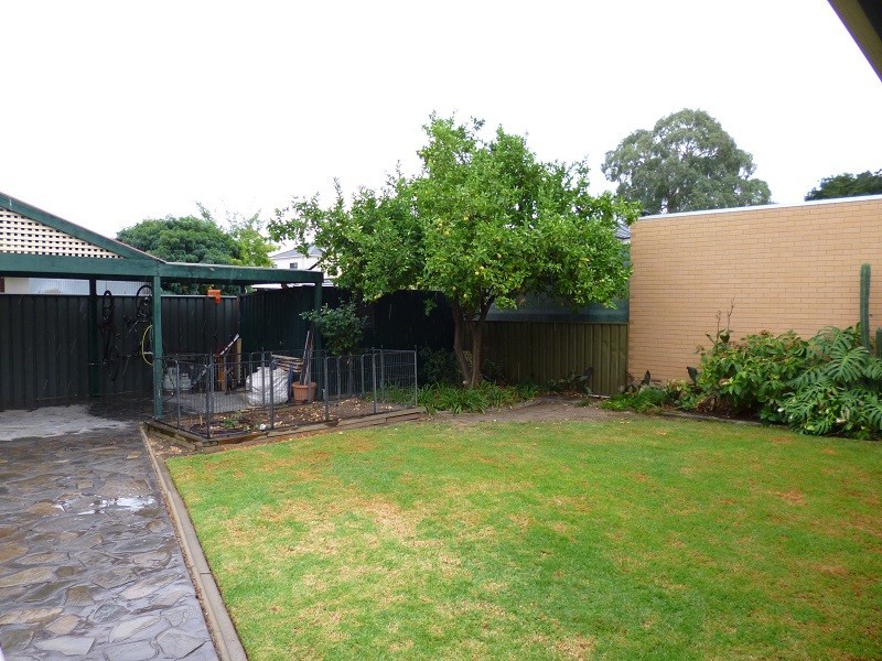 50 Wood Street, Kurralta Park SA 5037