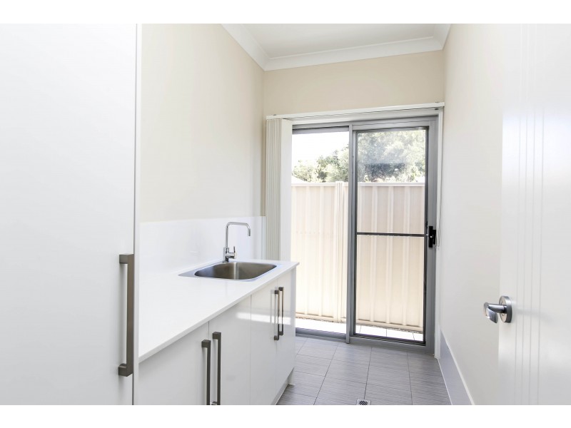 10 Mitchell Street, Glengowrie SA 5044