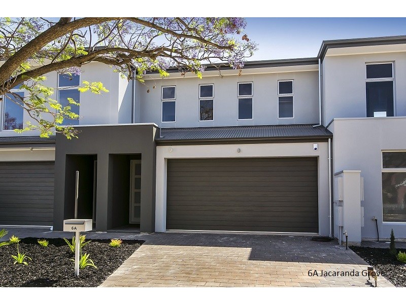 6 Jacaranda Grove, Oaklands Park SA 5046