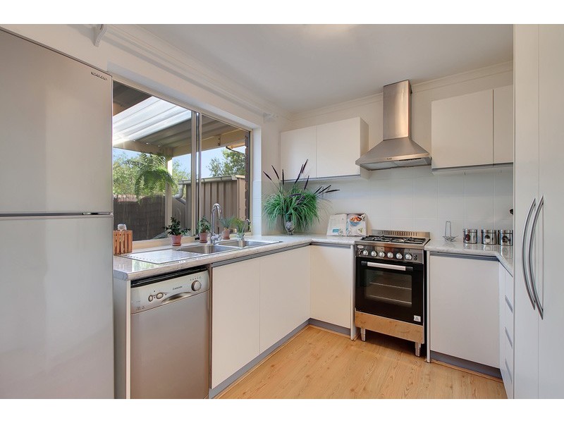 16 Osborne Street, Oaklands Park SA 5046