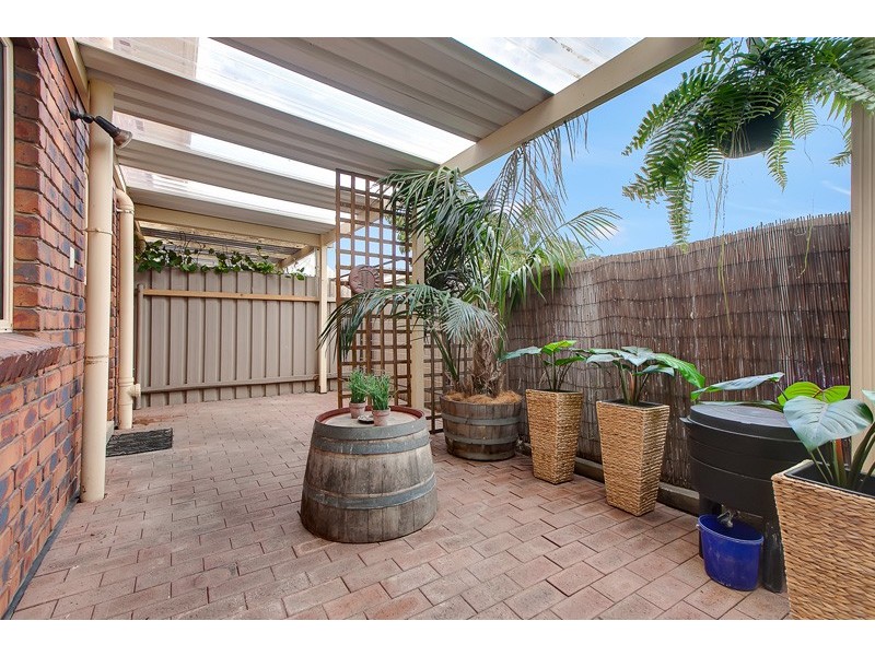 16 Osborne Street, Oaklands Park SA 5046