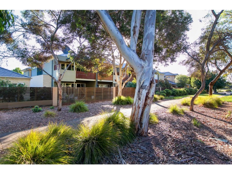 6 Haddrick Court, Underdale SA 5032