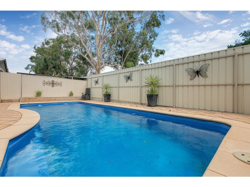 16 Kurrajong Place, Seacombe Gardens SA 5047