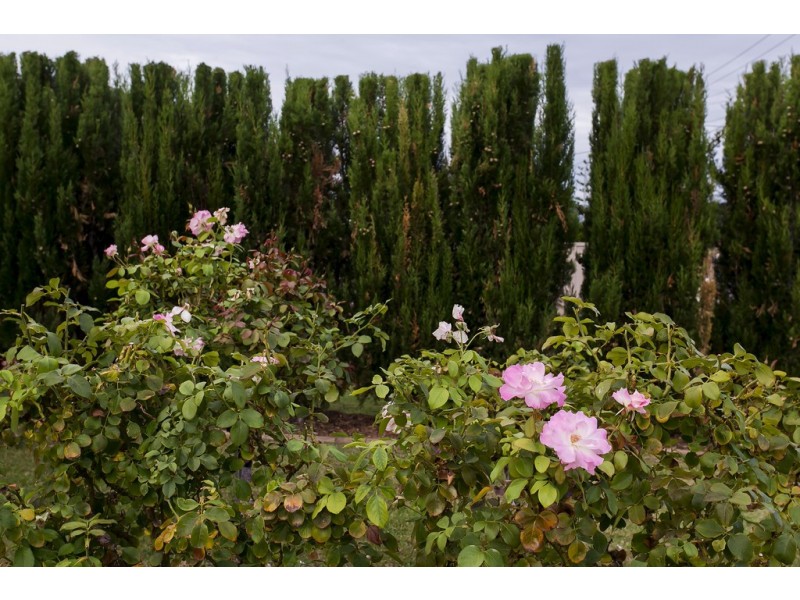 2A Stanley Street, Glenelg North SA 5045