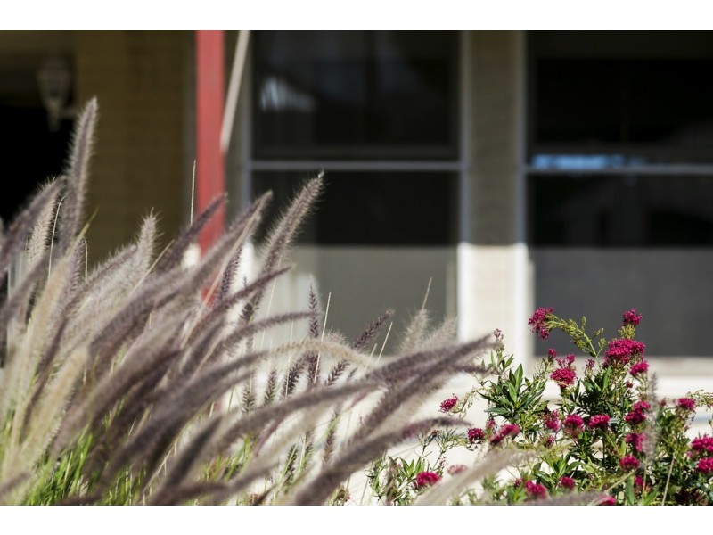 2 Spring Street, Seacombe Gardens SA 5047