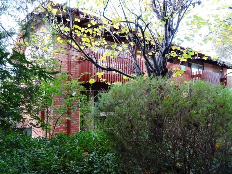 14 36 TREVELYAN STREET, Wayville SA 5034