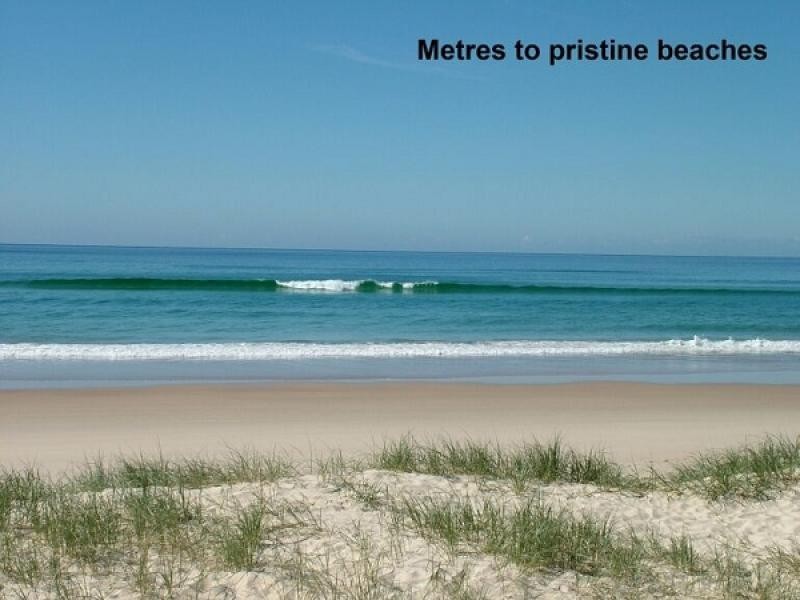 311/2-6 Pandanus Parade, Cabarita Beach NSW 2488