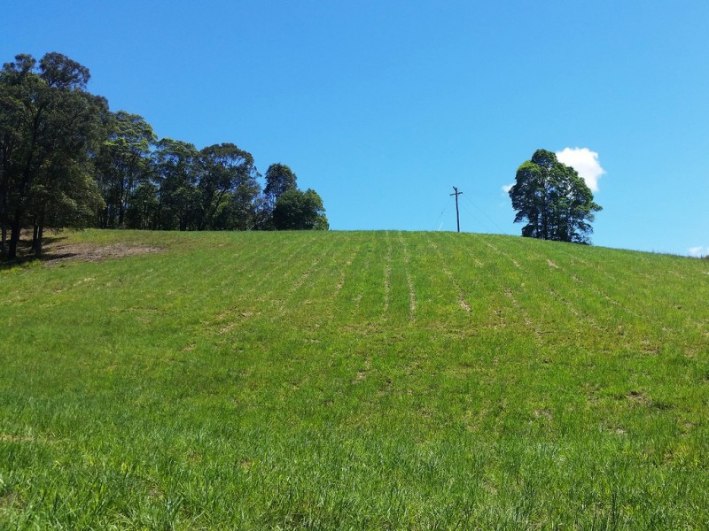 1158 Reserve Creek Road, Reserve Creek NSW 2484