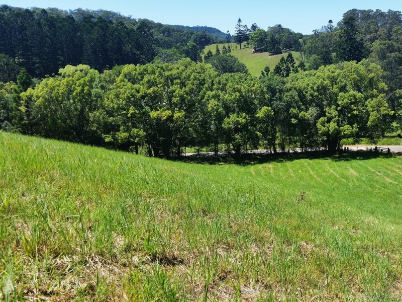 1158 Reserve Creek Road, Reserve Creek NSW 2484