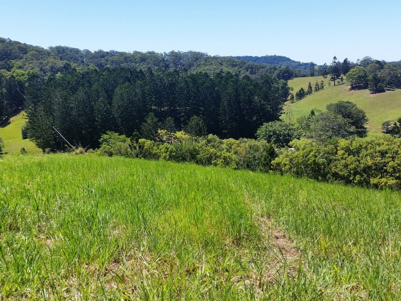 1158 Reserve Creek Road, Reserve Creek NSW 2484