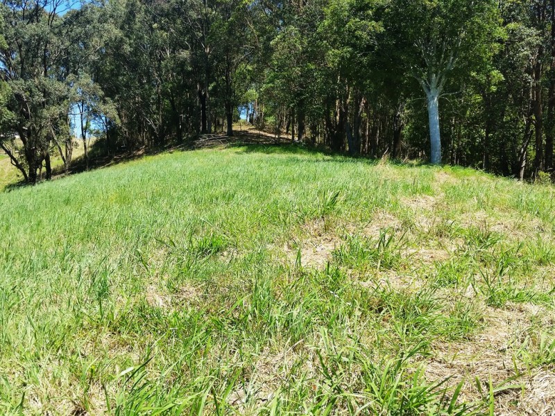 1158 Reserve Creek Road, Reserve Creek NSW 2484