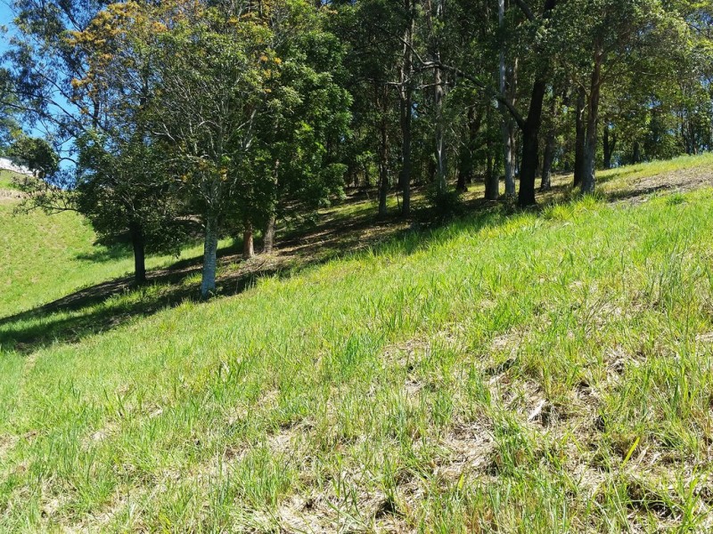 1158 Reserve Creek Road, Reserve Creek NSW 2484