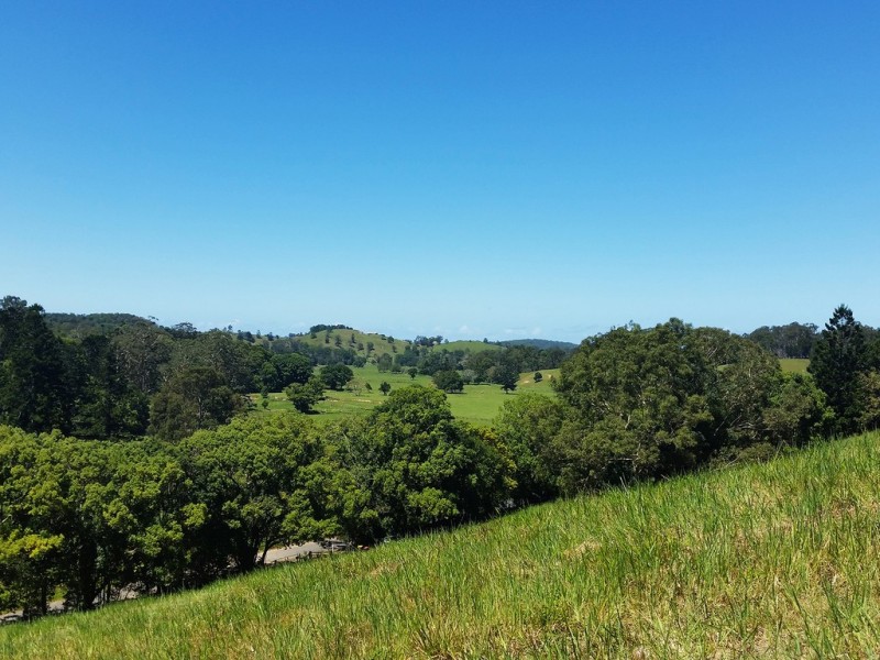 1158 Reserve Creek Road, Reserve Creek NSW 2484