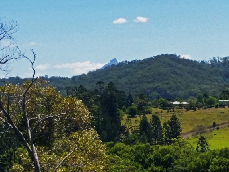 1158 Reserve Creek Road, Reserve Creek NSW 2484