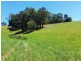 1158 Reserve Creek Road, Reserve Creek NSW 2484