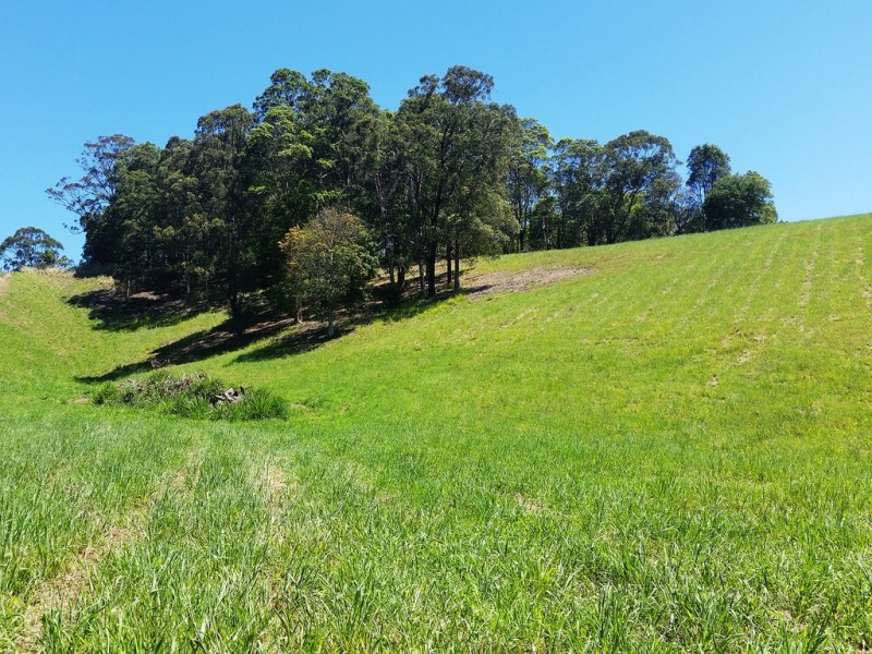 1158 Reserve Creek Road, Reserve Creek NSW 2484