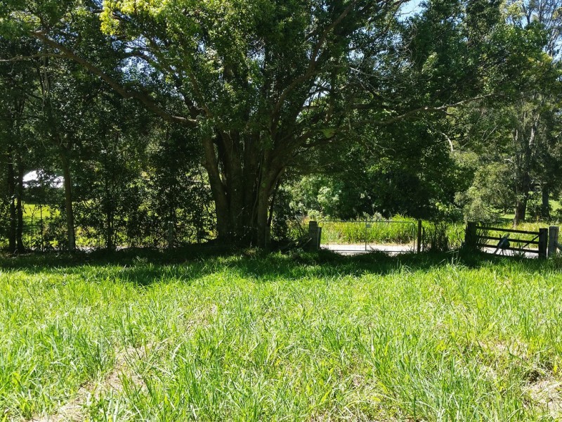 1158 Reserve Creek Road, Reserve Creek NSW 2484