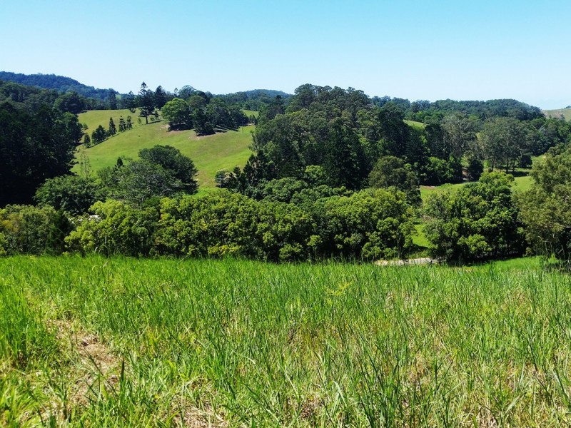 1158 Reserve Creek Road, Reserve Creek NSW 2484