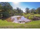 100 Wilman Road, Round Mountain NSW 2484