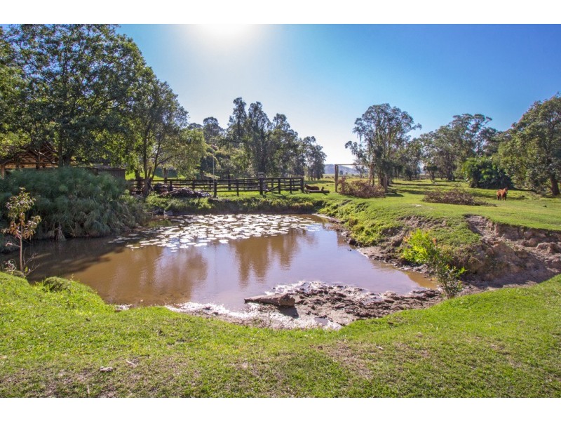 100 Wilman Road, Round Mountain NSW 2484