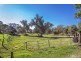 100 Wilman Road, Round Mountain NSW 2484