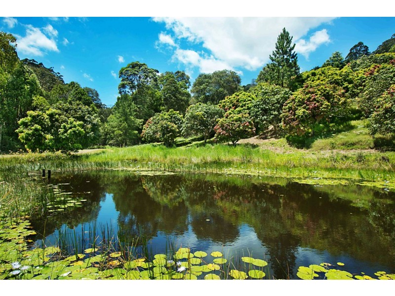 253 Palmvale Road, Palmvale NSW 2484