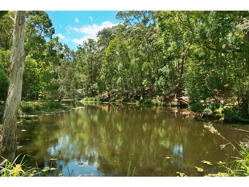 253 Palmvale Road, Palmvale NSW 2484