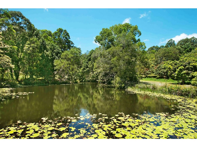 253 Palmvale Road, Palmvale NSW 2484