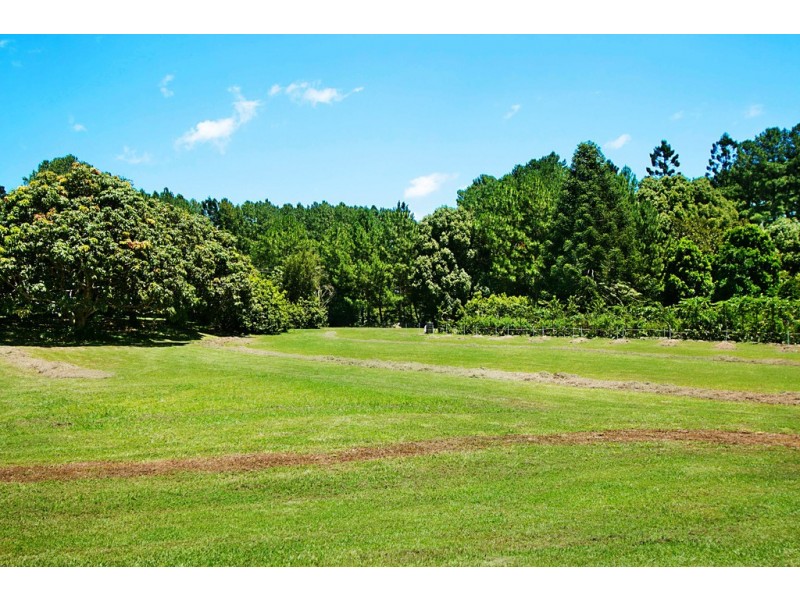 253 Palmvale Road, Palmvale NSW 2484