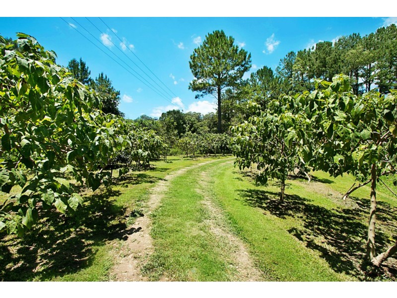 253 Palmvale Road, Palmvale NSW 2484