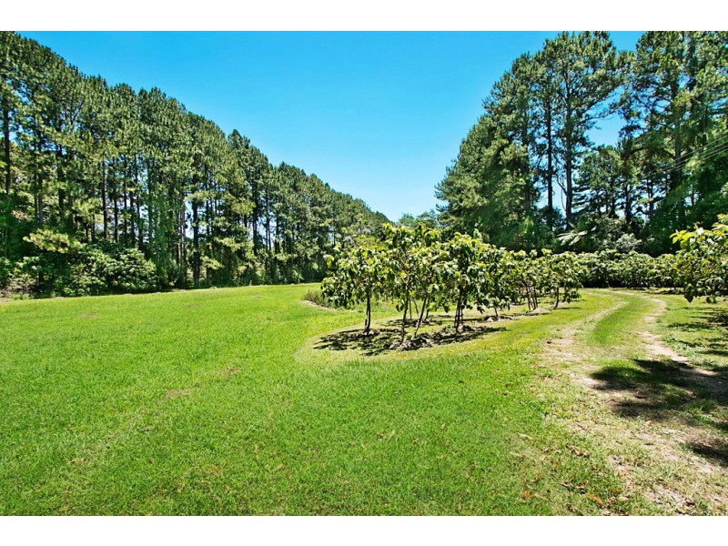 253 Palmvale Road, Palmvale NSW 2484