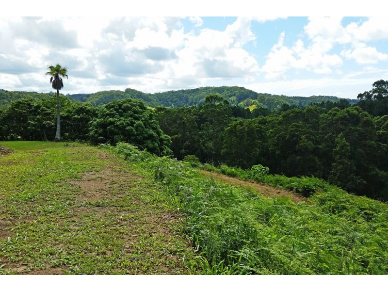 1 Aquilas Retreat, Palmvale NSW 2484