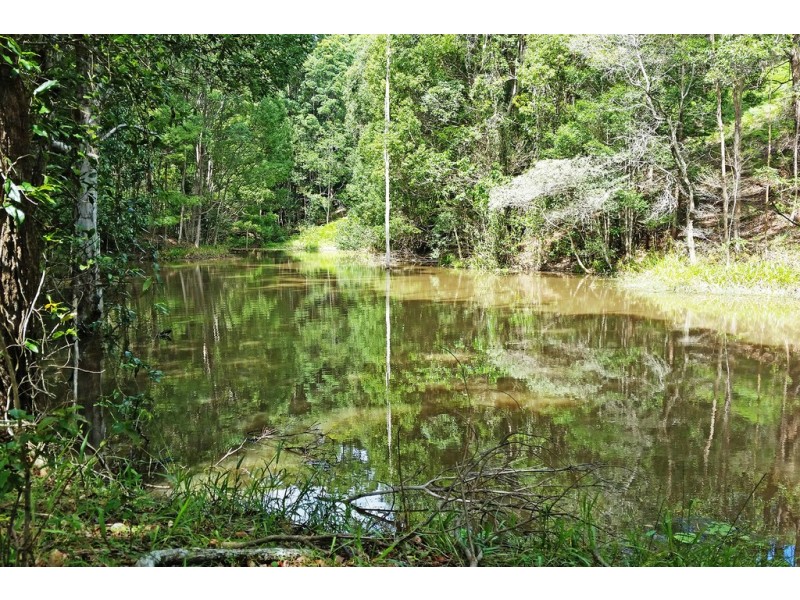 1 Aquilas Retreat, Palmvale NSW 2484