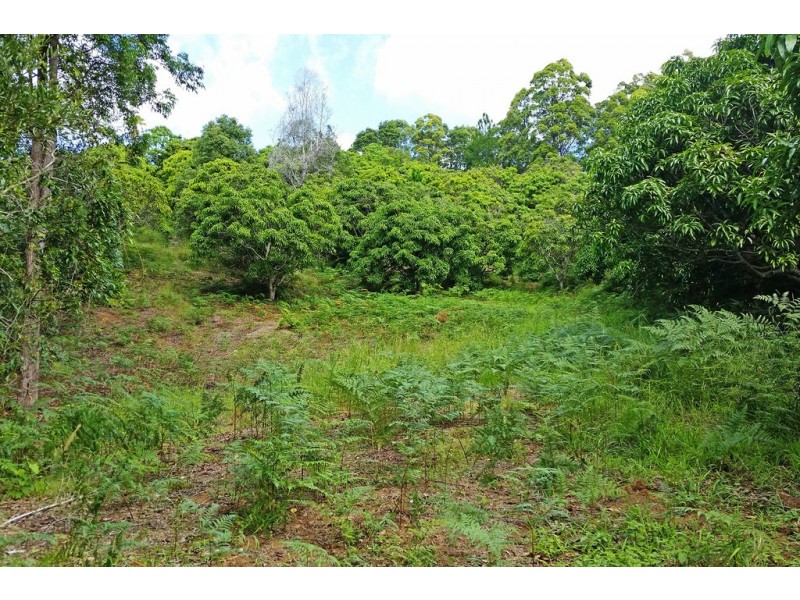 1 Aquilas Retreat, Palmvale NSW 2484