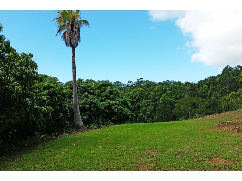 1 Aquilas Retreat, Palmvale NSW 2484