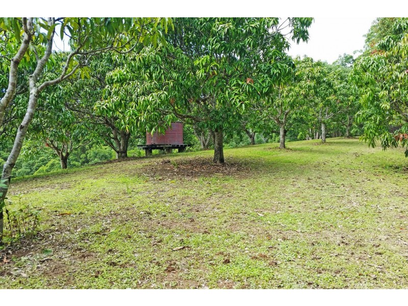 1 Aquilas Retreat, Palmvale NSW 2484