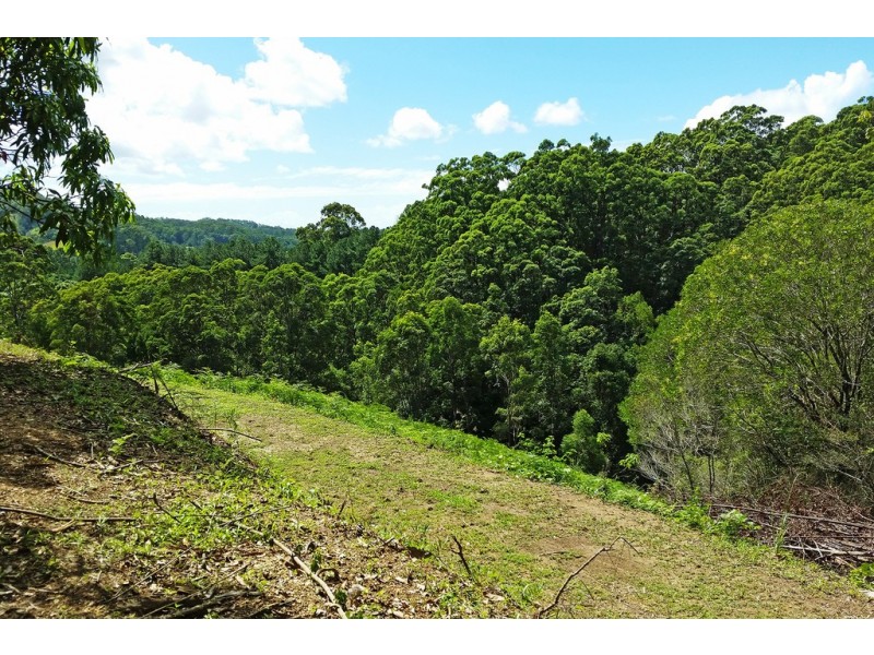 1 Aquilas Retreat, Palmvale NSW 2484